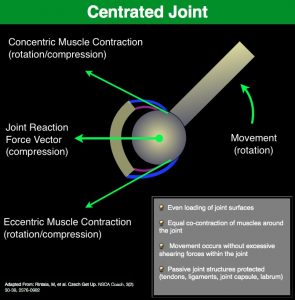 Centrated Joint